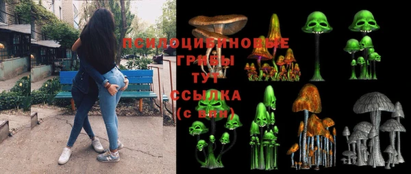 таблы Няндома