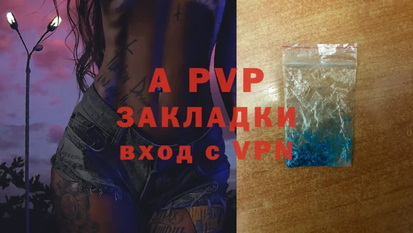 таблы Няндома
