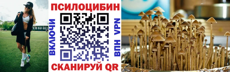 наркошоп  Андреаполь  Псилоцибиновые грибы MAGIC MUSHROOMS 