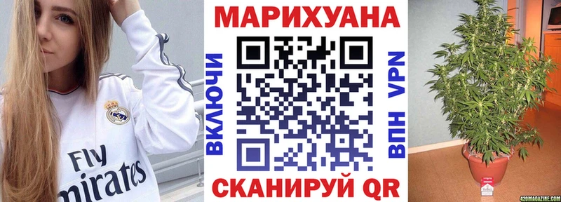 Каннабис планчик Андреаполь